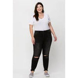 FLYING MONKEY PLUS SIZE HIGH RISE BUTTON FLY DISTRESSED CROP SKINNY